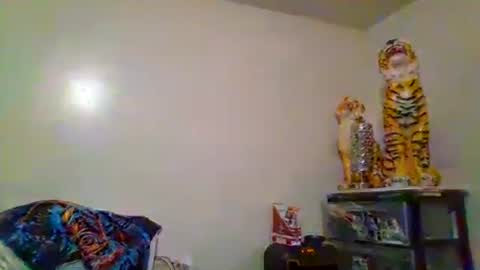 Snapshot of thatgirl4201 chatting on 11.15.25 thatgirl4201 online show from 11.15.25