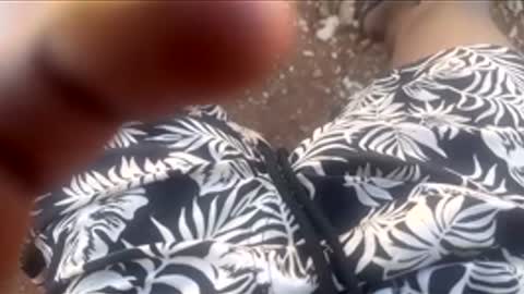 Snapshot of thatoneguy2802 chatting on 01.17.26 thatoneguy2802 online show from 01.17.26