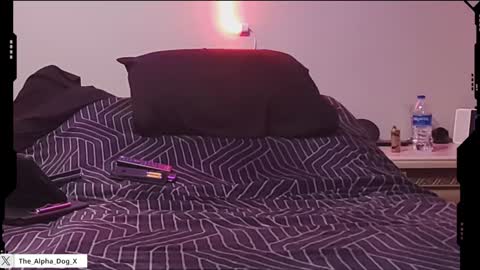 the_alpha_dog_xxx online show from 02.05.25