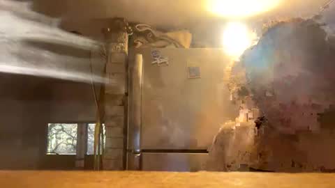 Come Have Fun online show from 02.11.26