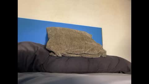 Snapshot of thebulge_b0y chatting on 10.20.25 thebulge_b0y online show from 10.20.25