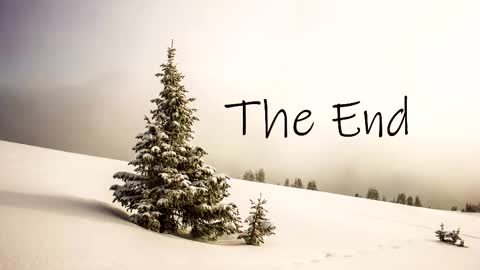 thedome372 online show from 10.23.25