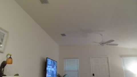 Dominick online show from 07.06.26