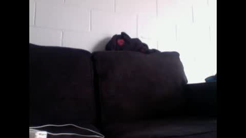 thee304slayer online show from 12.16.25