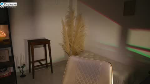   Streaming mostly at    online show from 01.22.25