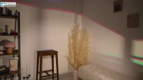   Streaming mostly at    online show from 02.04.25