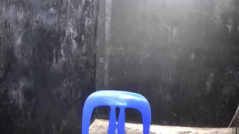 Xerxis online show from 03.10.25