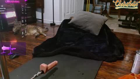 thekodyy online show from 03.06.25