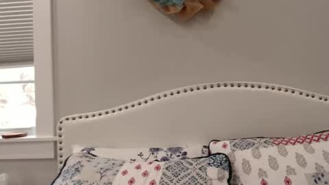 Lacey online show from 12.01.24