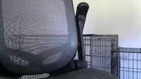 themaneb online show from 10.23.25