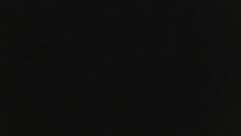 Snapshot of thenudedoodler chatting on 12.08.24 JohnSilver online show from 12.08.24