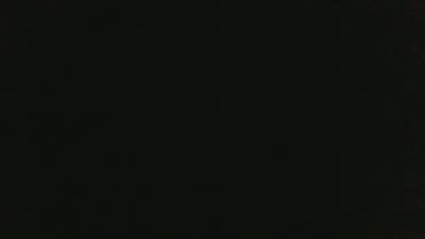 Snapshot of thenudedoodler chatting on 01.20.25 JohnSilver online show from 01.20.25