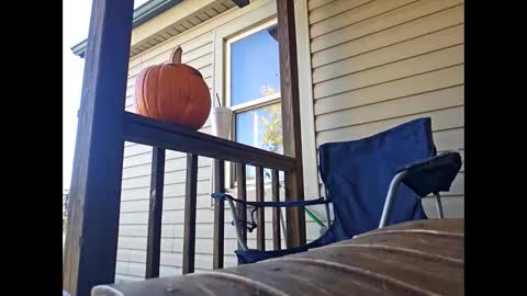 Snapshot of therizzler_1_of_1 chatting on 10.22.25 therizzler_1_of_1 online show from 10.22.25