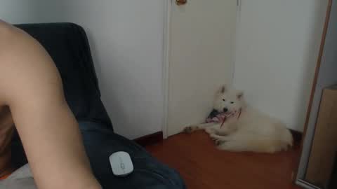 Snapshot of thesaint_xxx chatting on 11.08.25 thesaint_xxx online show from 11.08.25