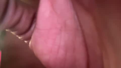 Snapshot of thetwomaskedbandits chatting on 04.07.26 thetwomaskedbandits online show from 04.07.26