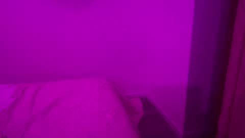 The Wild Wonderland online show from 01.08.26