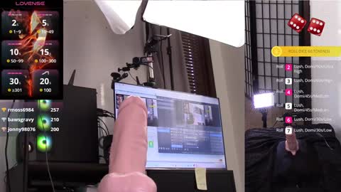 Snapshot of thewillowfox chatting on 01.28.25 The Willow Fox online show from 01.28.25