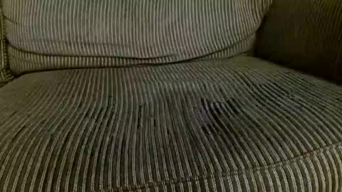 Snapshot of thick_dom chatting on 02.24.26 Thick Dom online show from 02.24.26