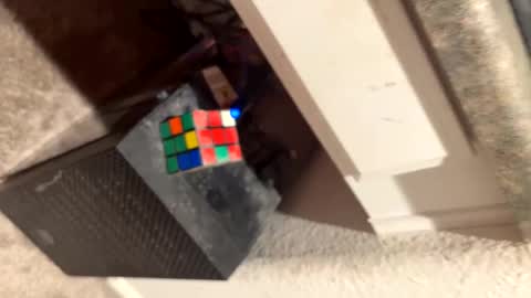 Thiccccc online show from 03.06.25