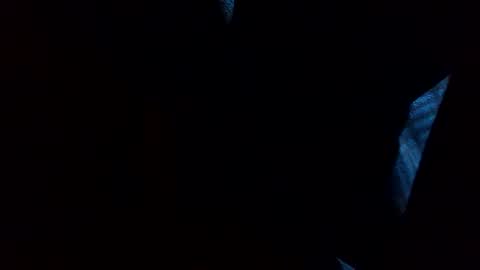 Snapshot of thisdixforyou chatting on 12.31.24 thisdixforyou online show from 12.31.24