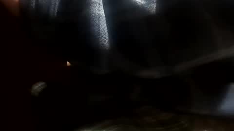 Snapshot of thisdixforyou chatting on 01.20.25 thisdixforyou online show from 01.20.25