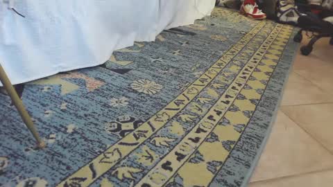 Snapshot of thongmuscle chatting on 02.27.25 ThongMuscle online show from 02.27.25