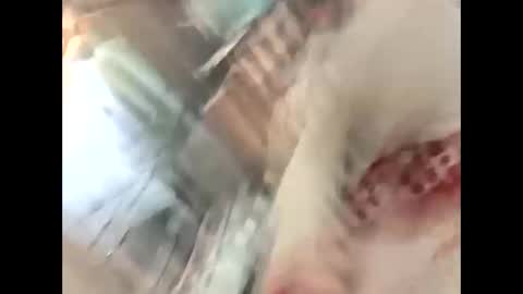 Snapshot of thunder8u42 chatting on 10.10.25 thunder8u42 online show from 10.10.25