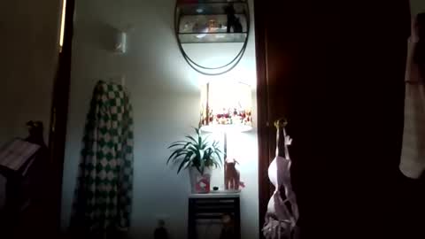 tigerlily online show from 11.07.25