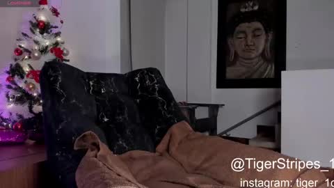 Snapshot of tigerstripes_ chatting on 12.29.24 Chris online show from 12.29.24