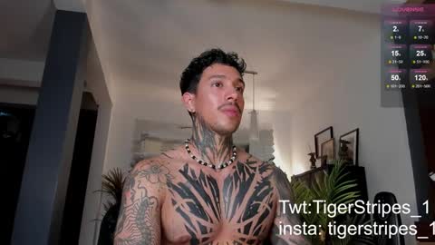 Snapshot of tigerstripes_ chatting on 02.28.25 Chris online show from 02.28.25