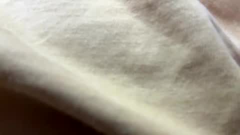 timber2255 online show from 10.31.25