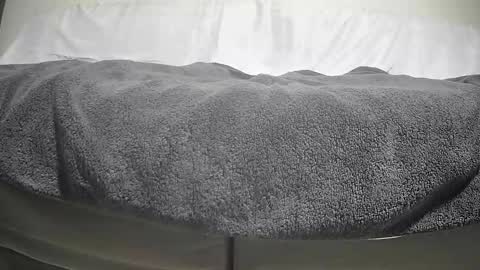 Casey online show from 09.29.25