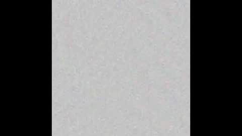 Snapshot of timlooking1 chatting on 02.17.25 TimLooking online show from 02.17.25