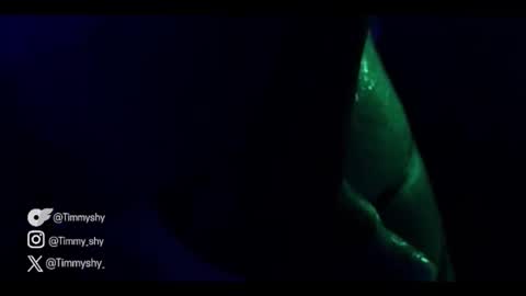 timmyshy online show from 11.22.25