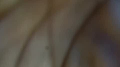 tinagiant online show from 01.11.26