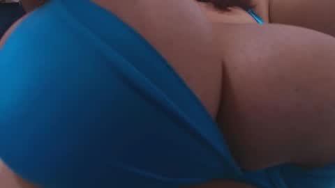 tinkerbell online show from 11.04.25