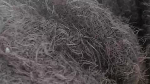 tinyslut66 online show from 03.30.26