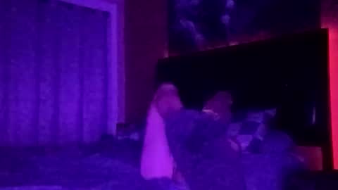 tipme240734 online show from 11.24.25