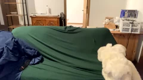 Snapshot of tjfemboi5641 chatting on 10.20.25 tjfemboi5641 online show from 10.20.25