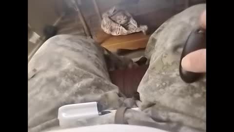 Snapshot of tjllagwbggrr chatting on 02.03.26 tjllagwbggrr online show from 02.03.26