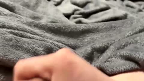 Snapshot of tmue chatting on 02.15.26 tmue online show from 02.15.26