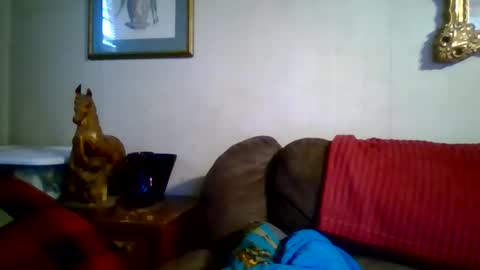 Vols online show from 01.07.26