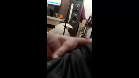 Snapshot of tolinbuilds68 chatting on 04.06.26 tolinbuilds68 online show from 04.06.26