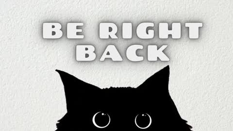 Tolli Moll online show from 01.28.25