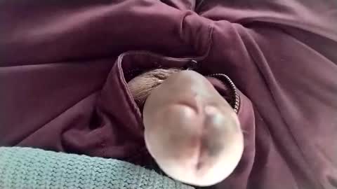 Tomas online show from 01.11.25