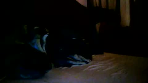 tommy mackz online show from 03.02.26