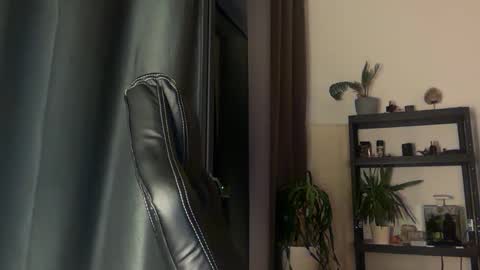 Snapshot of tommyx01 chatting on 11.02.25 Thomas Fit online show from 11.02.25