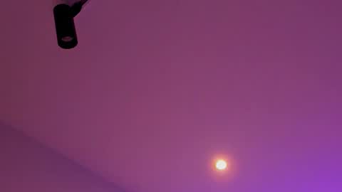 tony_petrov online show from 01.08.26