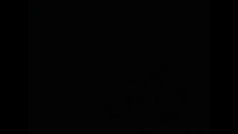 tony online show from 02.24.26