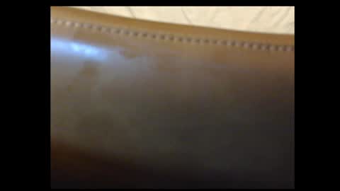 Snapshot of tooobvious chatting on 10.25.25 tooobvious online show from 10.25.25